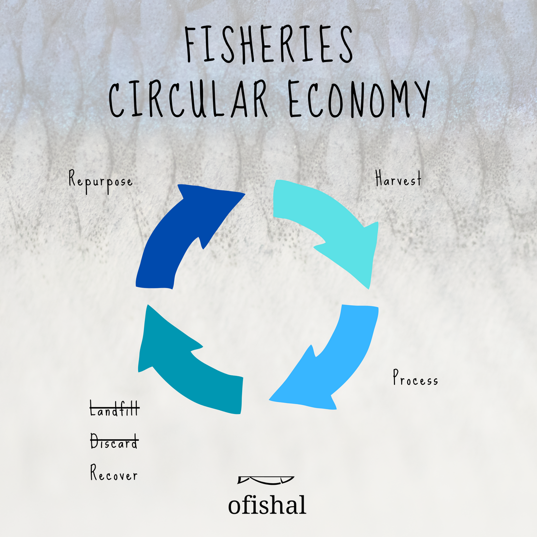 Circular Economy in the Fishing Industry