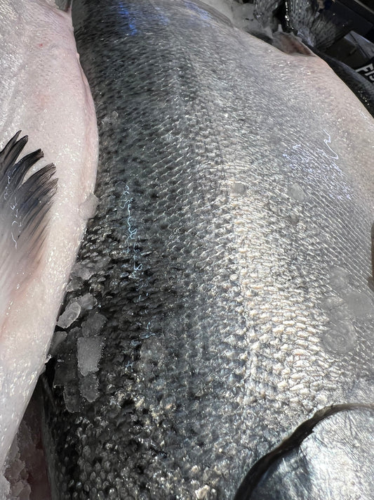 Why Fish Leather Matters More Than You Think