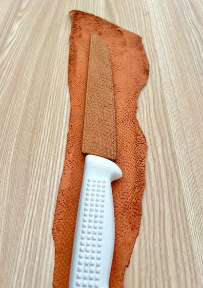 Fish Leather Knife Sheath